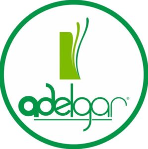 Adelgar
