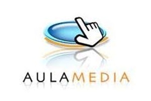 Aulamedia empresas de desarrollo web