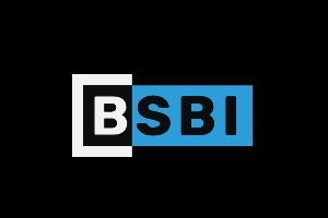 BSBI