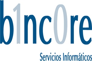 Bincore soluciones ERP