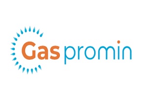 Calderas Gas Promin