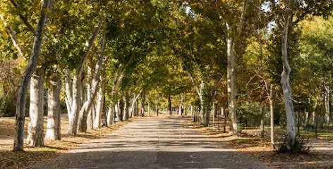 Casa de Campo