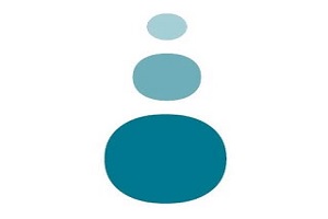 Centro de Formación Profesional Nelson, logo