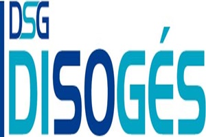 DSG DISOGÉS soluciones ERP