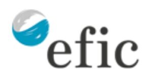 EFIC - Escuela de Formación Integral en Coaching