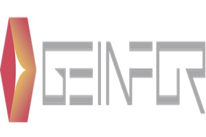 Geinfor ERP