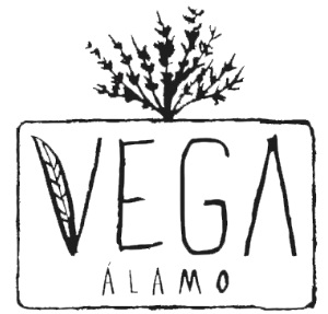 Govega