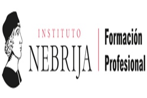 Instituto Nebrija de Formación Profesional cursos de ciberseguridad