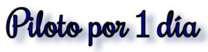 Piloto por 1 día (Aeródromo Camarenilla)