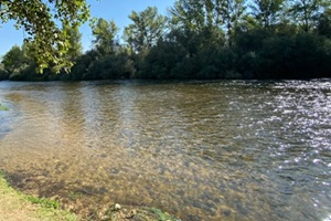 Playa del Alberche