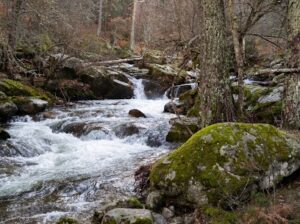 Ruta senderista Puente de la Angostura