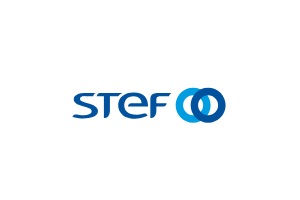 STEF Madrid, logo