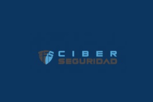 TSS Ciberseguridad, logo