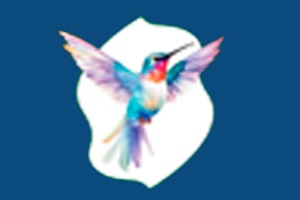 mediadores familiares - logo de Tú decides mediación