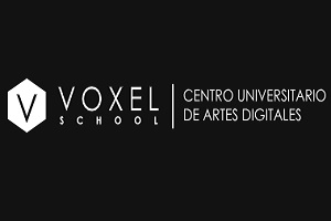 Voxel School, logo
