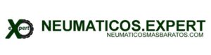 neumaticos expert