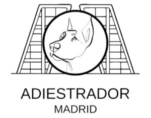 Adiestrador Madrid