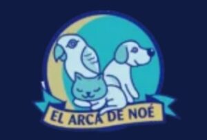 El Arca De Noah