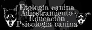 Etólogo canino Eduardo Rodríguez