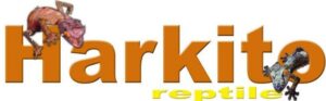 Harkito Reptile