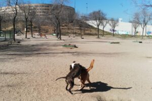 Parque Canino Las Moreras