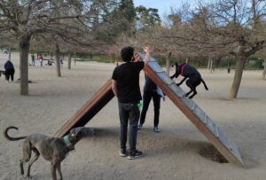 Parque Canino en Retiro