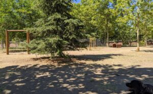 Parque de Arraiga
